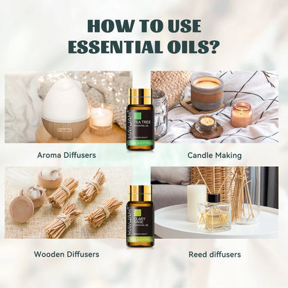 MAYJAM Aromatherapy Essential Oils